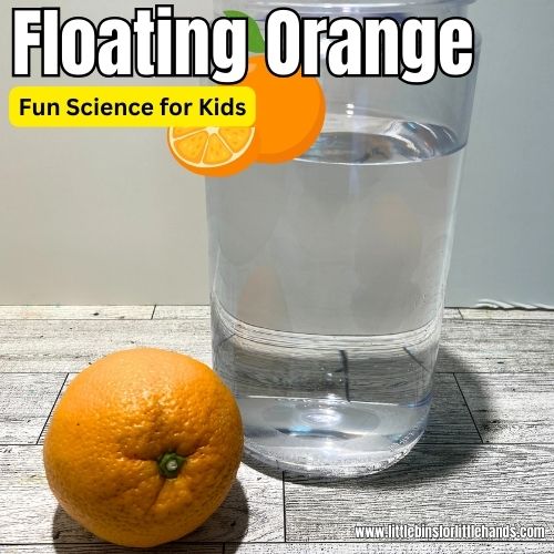 Do Oranges Float?