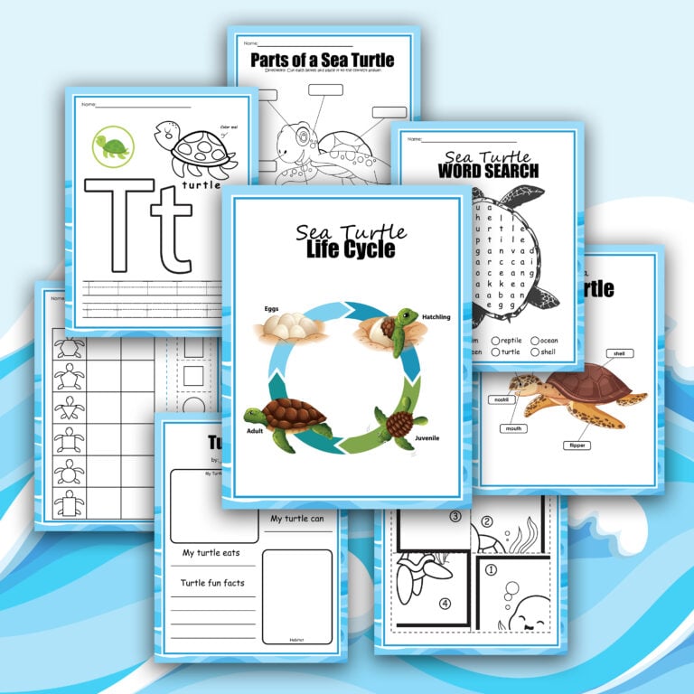 Zoo Animals Preschool Math Pack