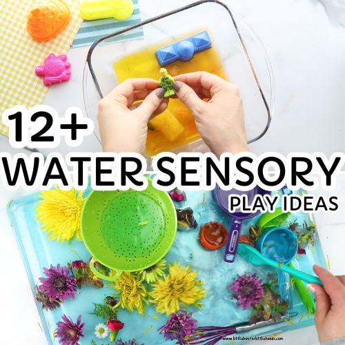 12 Awesome Water Sensory Bins