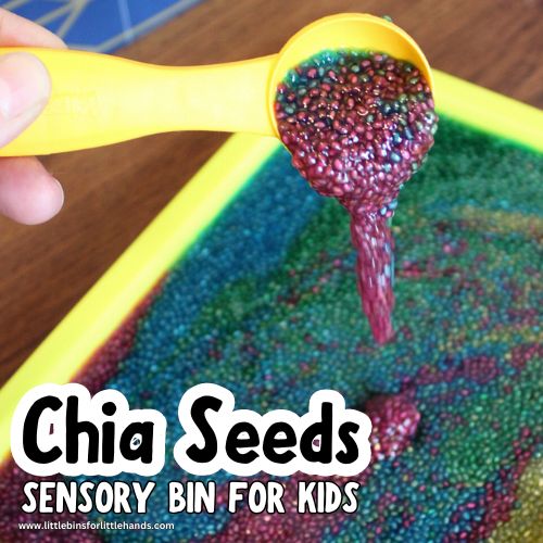 Chia Seed Sensory Bin