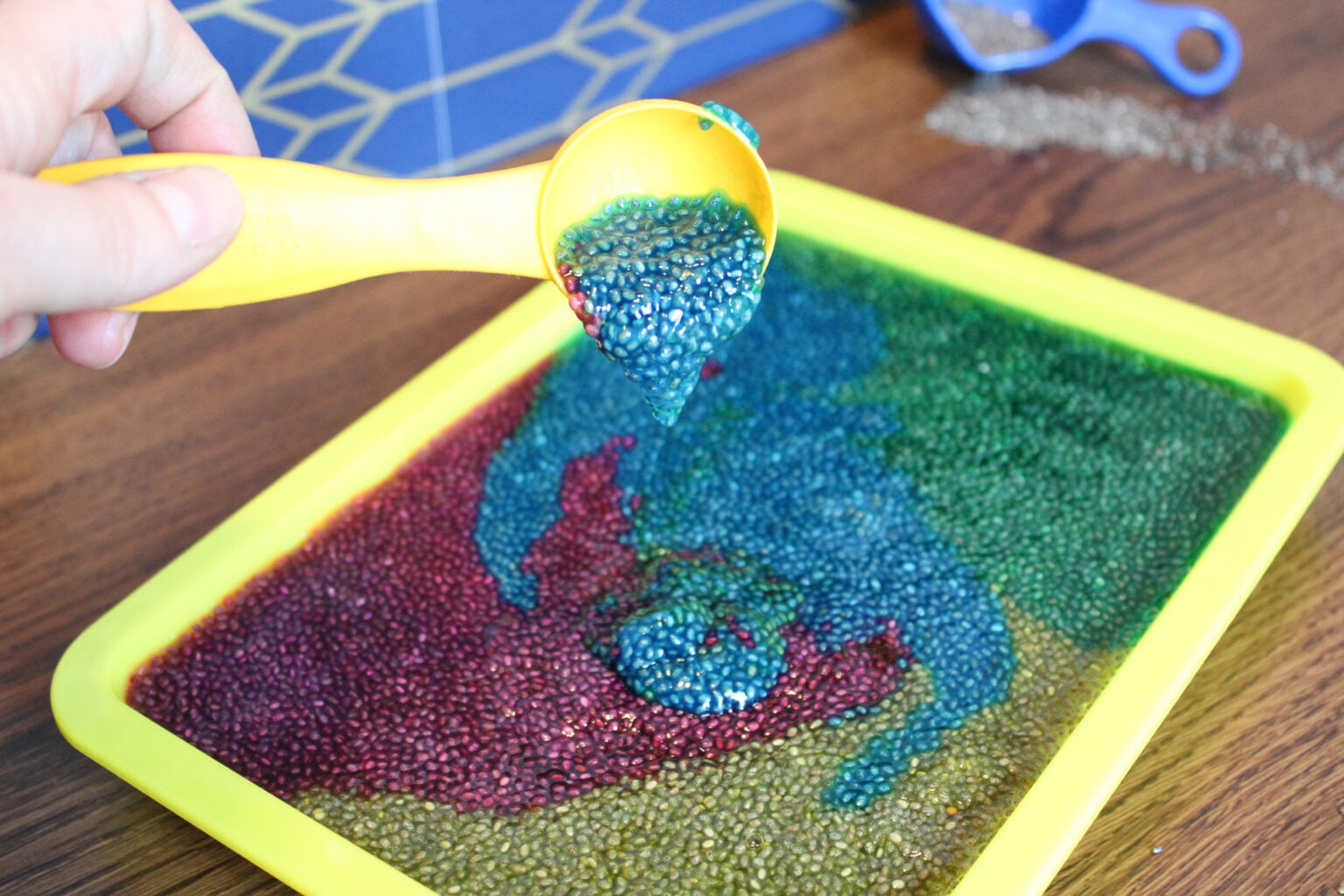 Chia Seed Sensory Bin - Little Bins for Little Hands