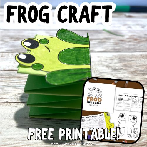 Spring Frog Paper Craft