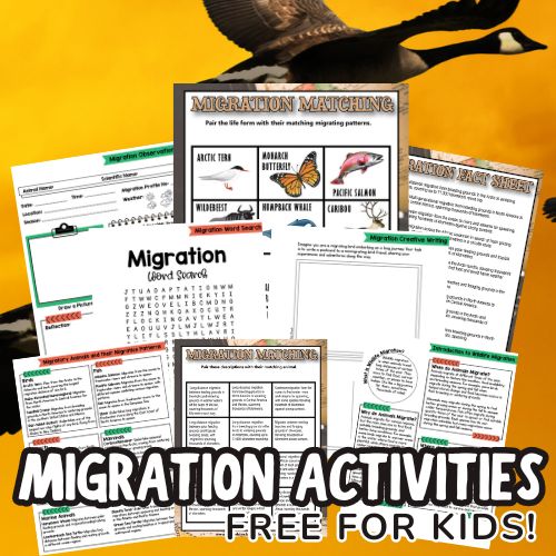 Migration Activities for Kids