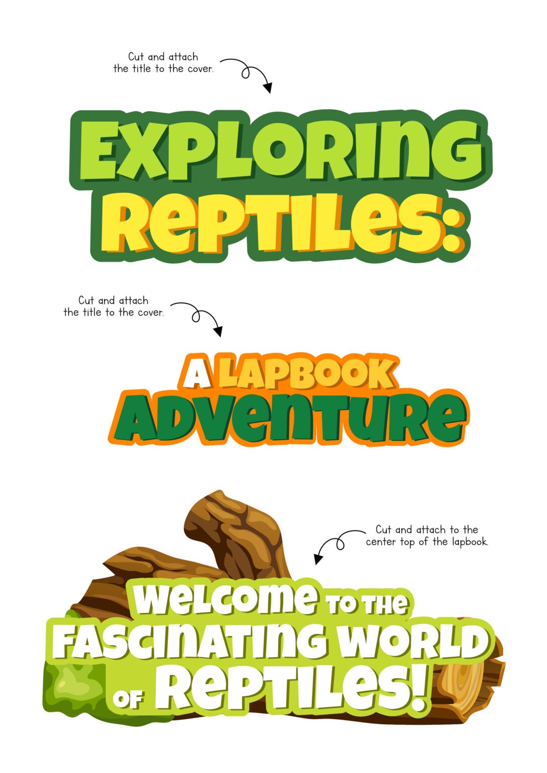 Reptile Worksheets and Lapbook Activity - Little Bins for Little Hands