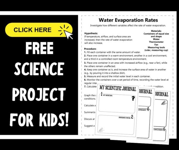 Water Evaporation Experiment - Little Bins for Little Hands