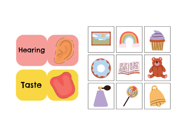 5 Senses Flip Book Activity - Little Bins for Little Hands