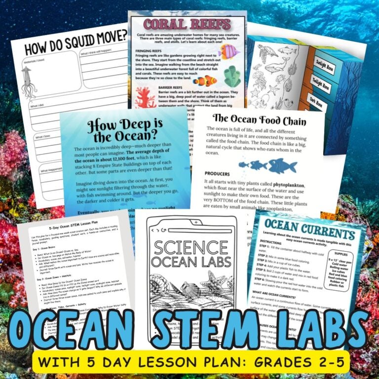 Ocean Currents Activity for Kids | Easy Ocean Current Demo