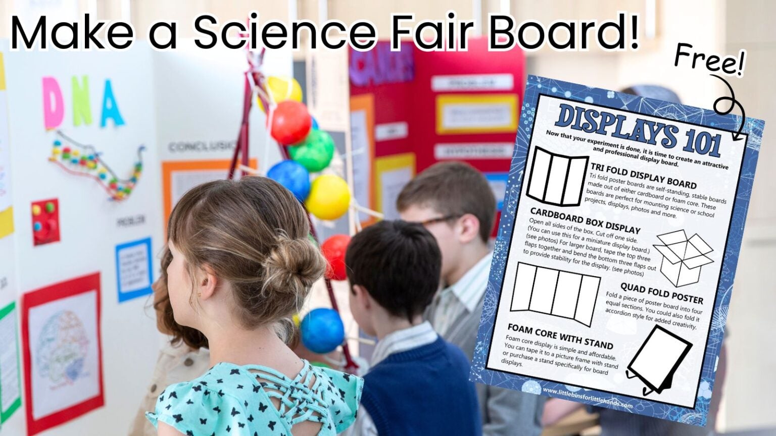 Science Fair Board Layout: What to Put on a Display Board