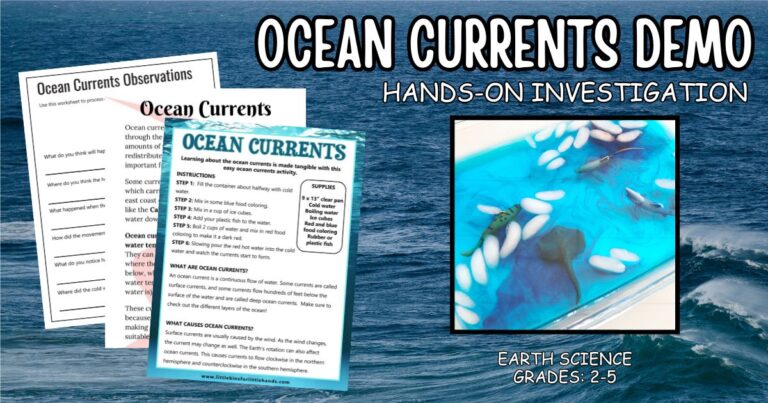 Ocean Currents Activity for Kids | Easy Ocean Current Demo