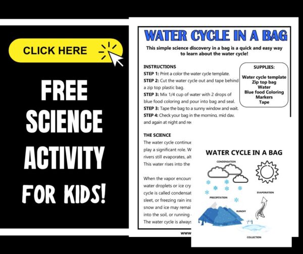 Winter Water Cycle Activity for Kids