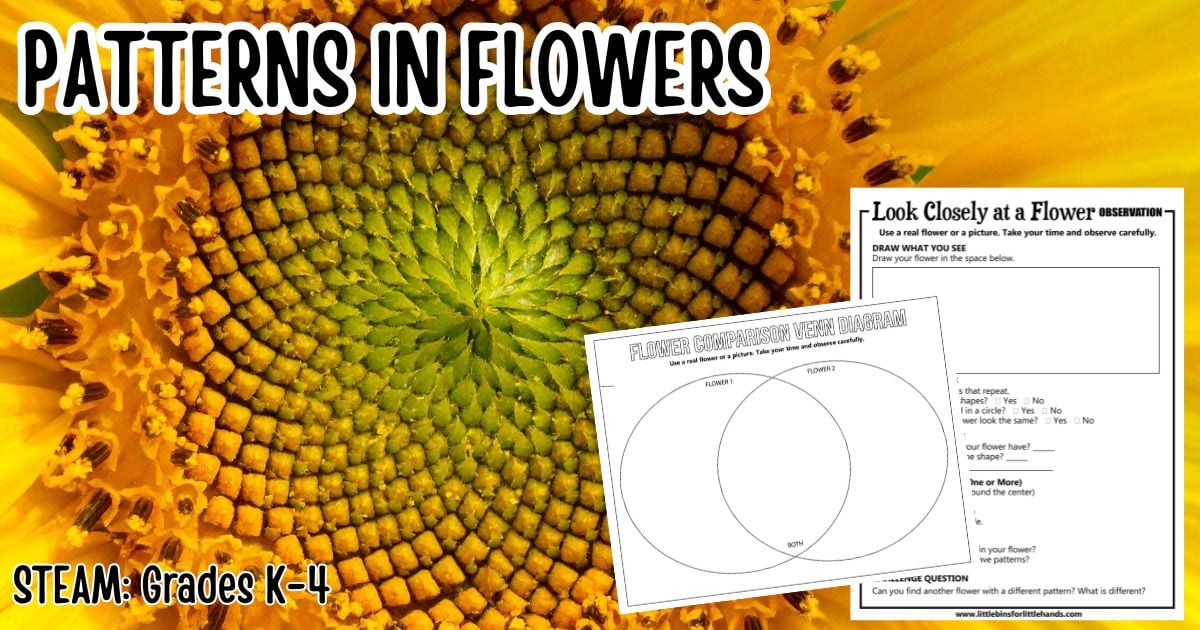 Patterns in Flowers for Kids (STEM Activity + Free Printable)