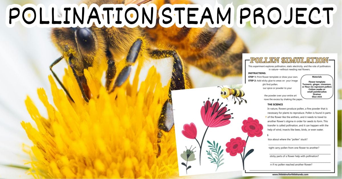 Use this pollen simulation project for science and art connection