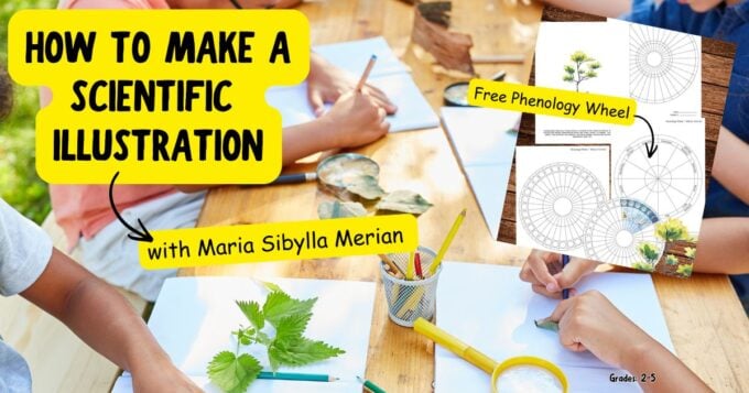 how to make a scientific illustration for kids STEAM activities