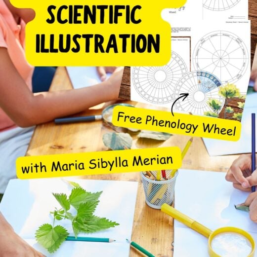 Pinterest Hidden Image