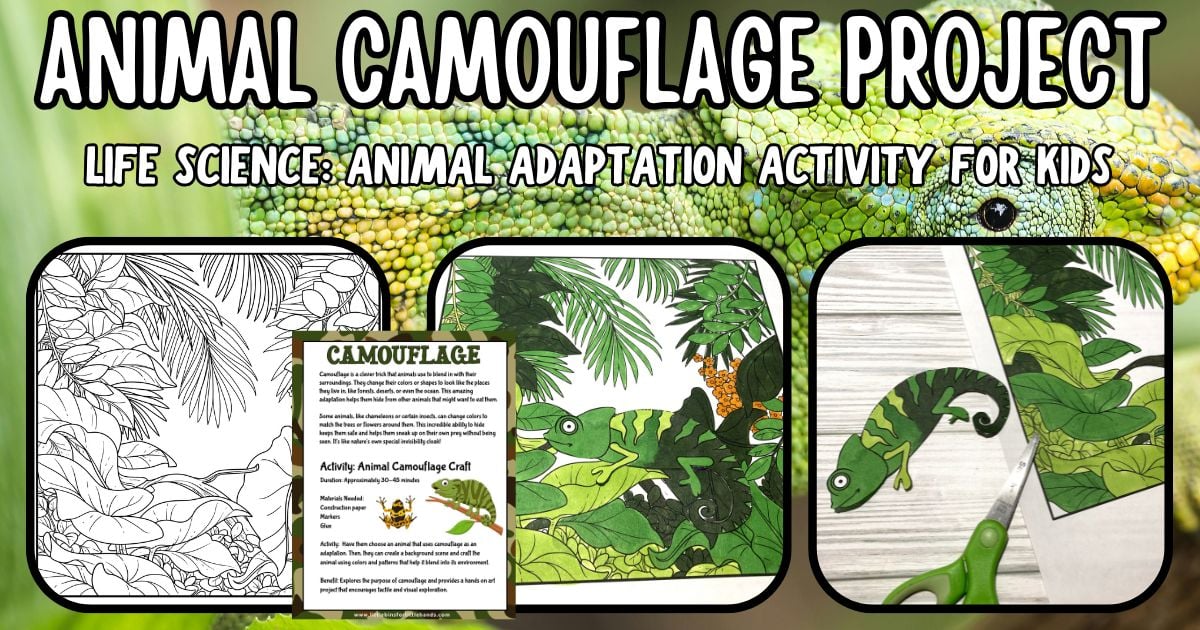 Animal camouflage activity for kids with free printable template