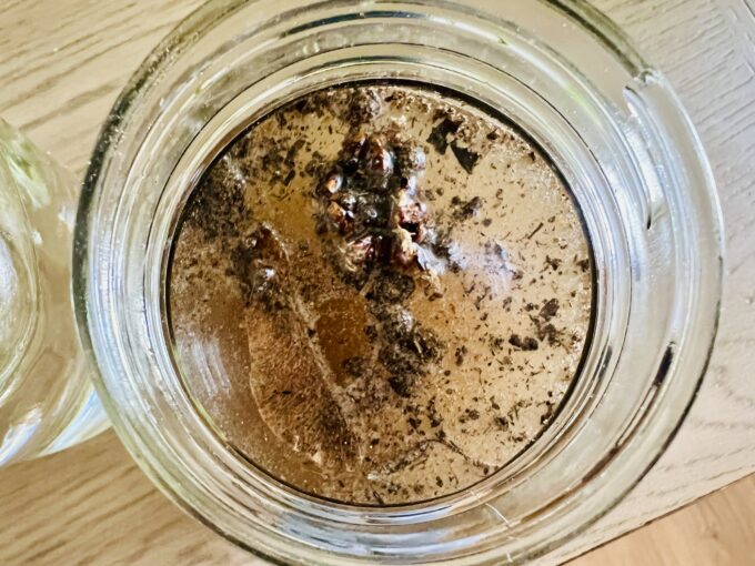 debris floating in the polluted water jar