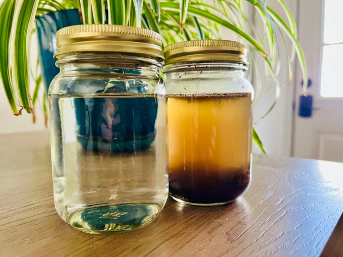 side by side comparison clean vs dirty water experiment results