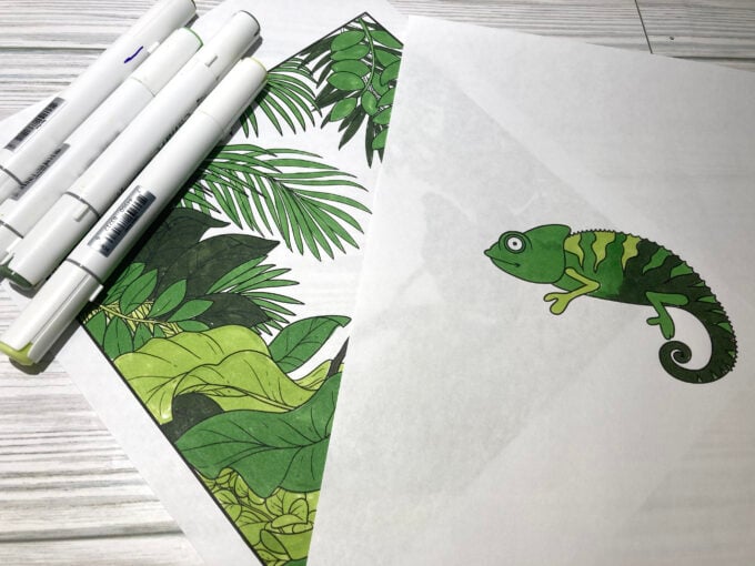 chameleon camouflage printable template activity