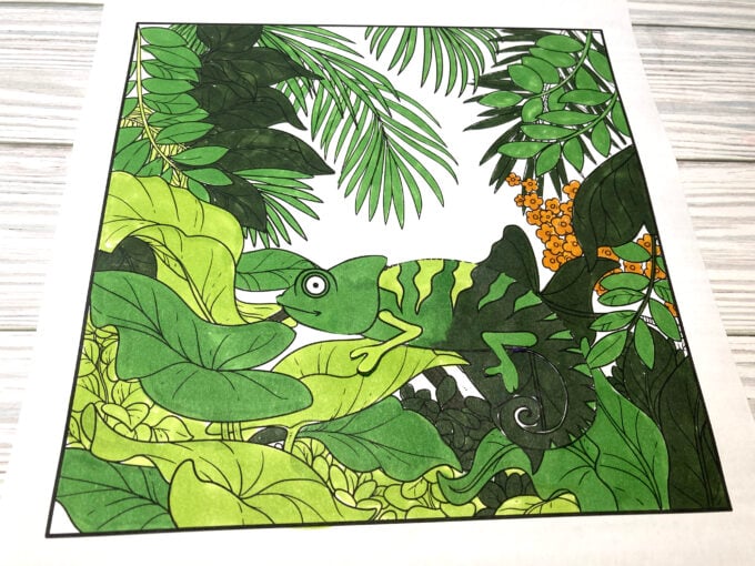 colored chameleon blending in with its environment