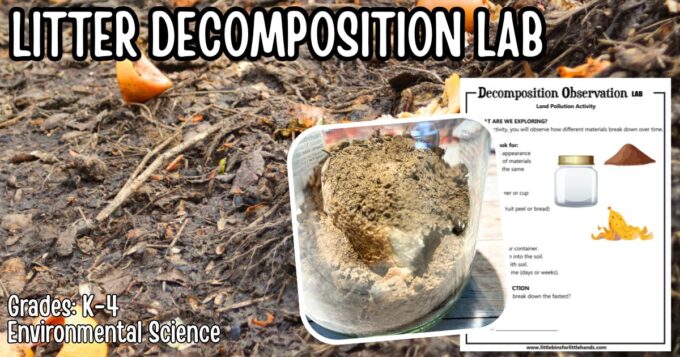 Decomposition Experiment for Kids (Free Lab Activity)