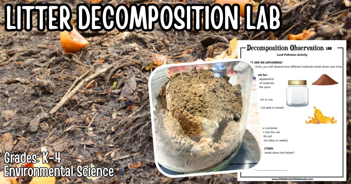 Decomposition Experiment for Kids (Easy Soil Science Activity)