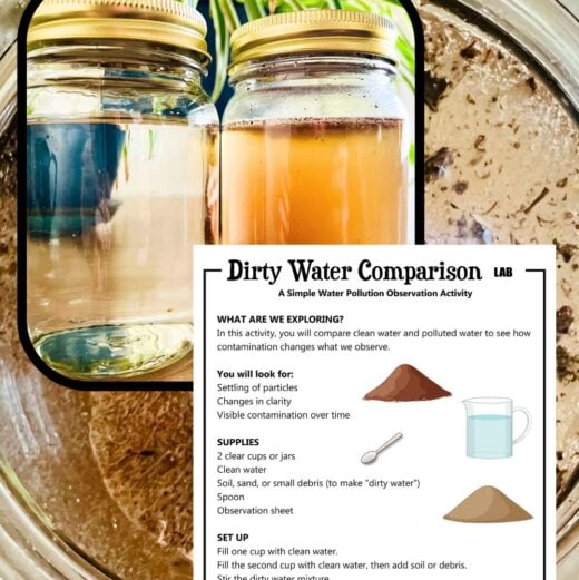 Pinterest Hidden Image