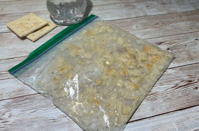 Stomach in a bag digestion experiment for kids