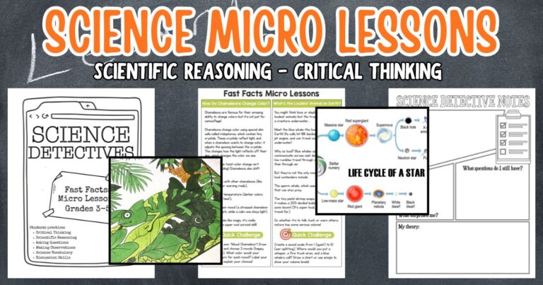 Interesting Observation Science What Is Observation in Science? Activities for Kids