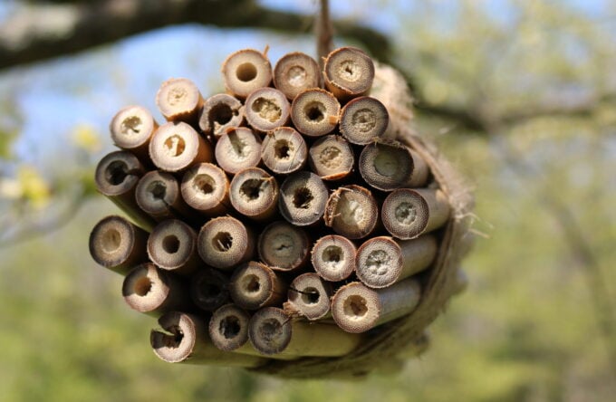 build a bee hotel for nature outdoor STEM