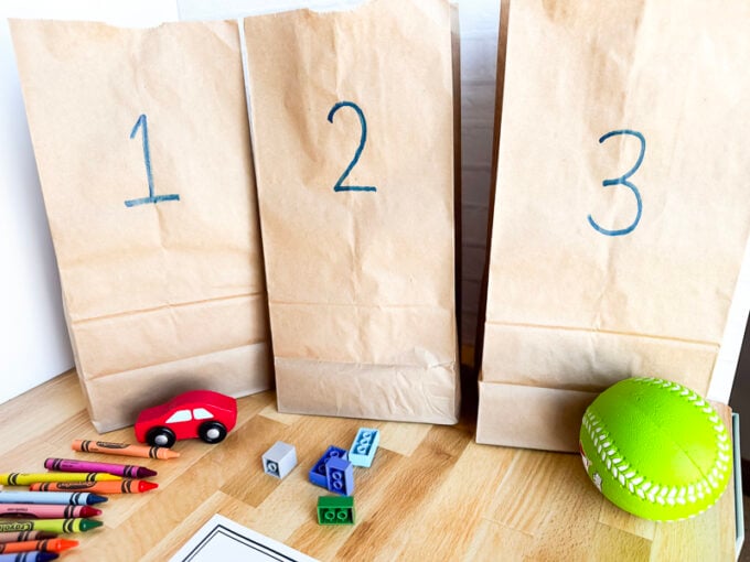 various items you can include in a science mystery bag activity depending on age