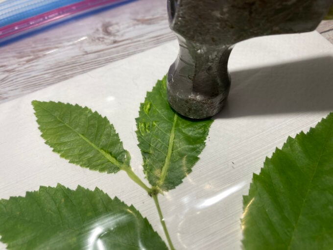Hammering flowers to create botanical nature prints