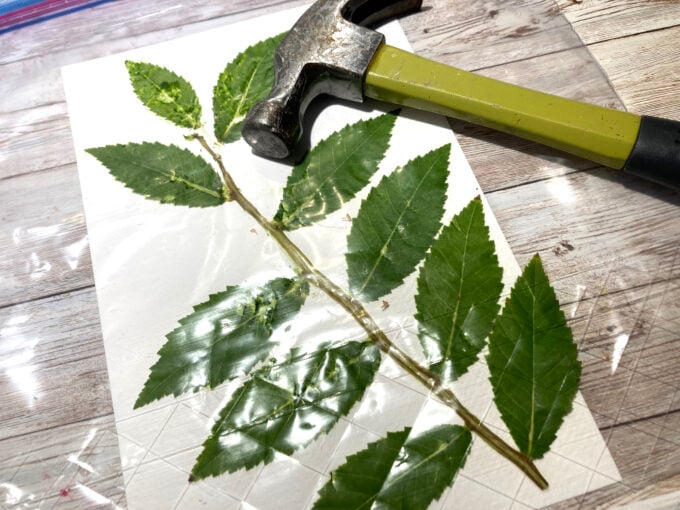 Cover leaves with plastic bag or parchment paper before hammering