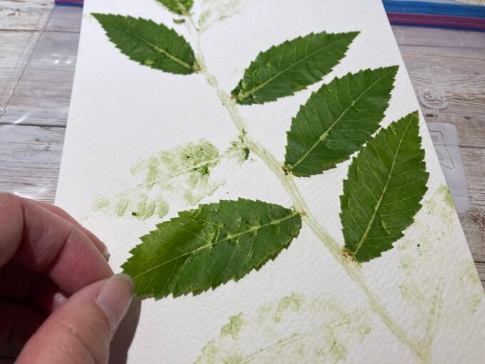 Revealing colorful print by carefully pulling up leaves