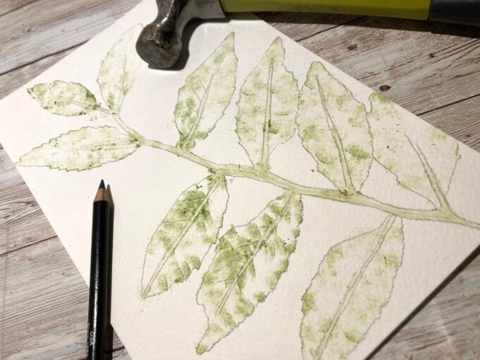 Optional outlining leaves and prints with colored pencil