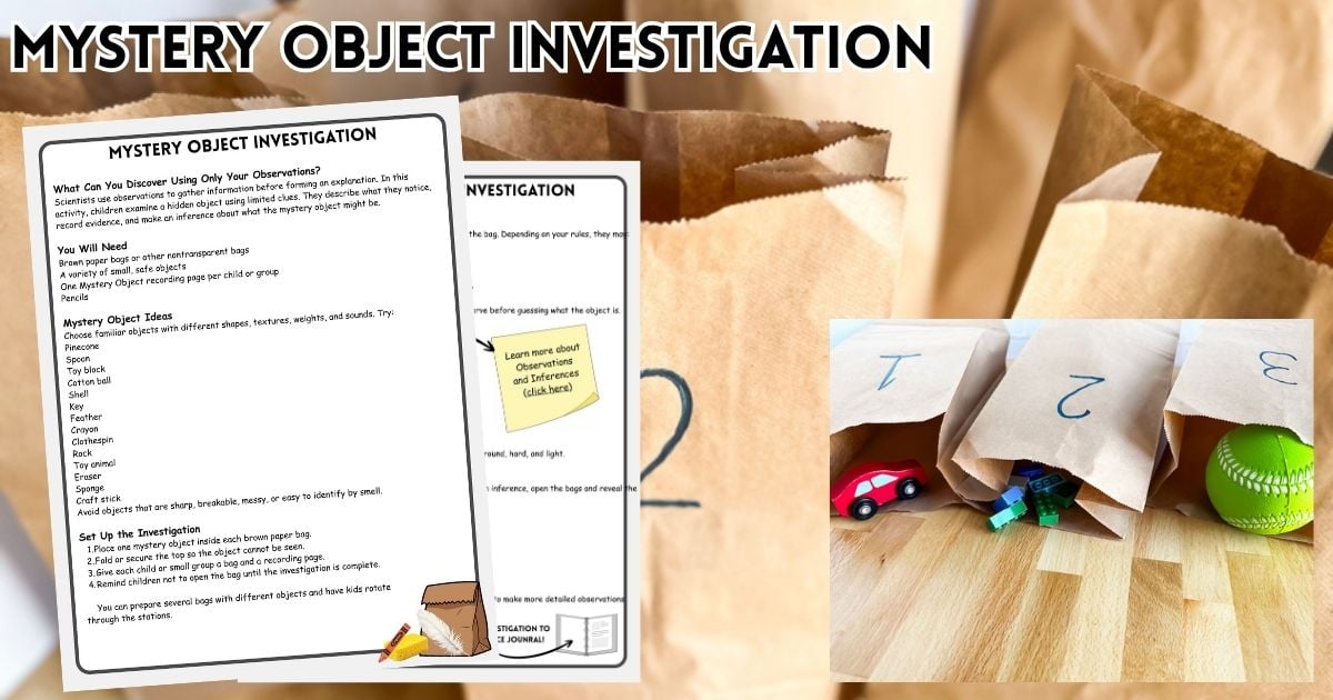 Mystery object science activity for practicing observations and inferences