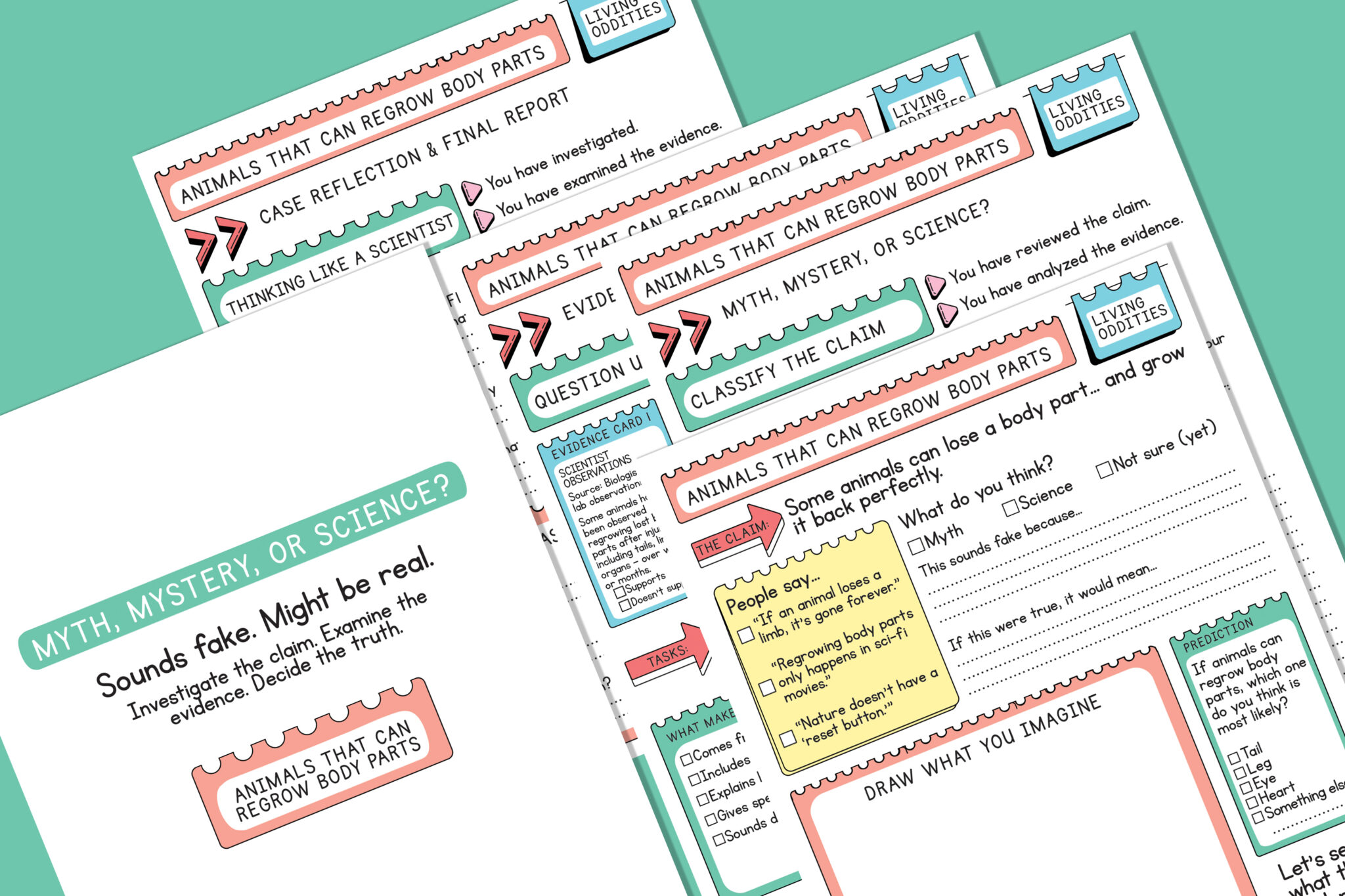 Science Detective Activities for Kids | Claims and Evidence