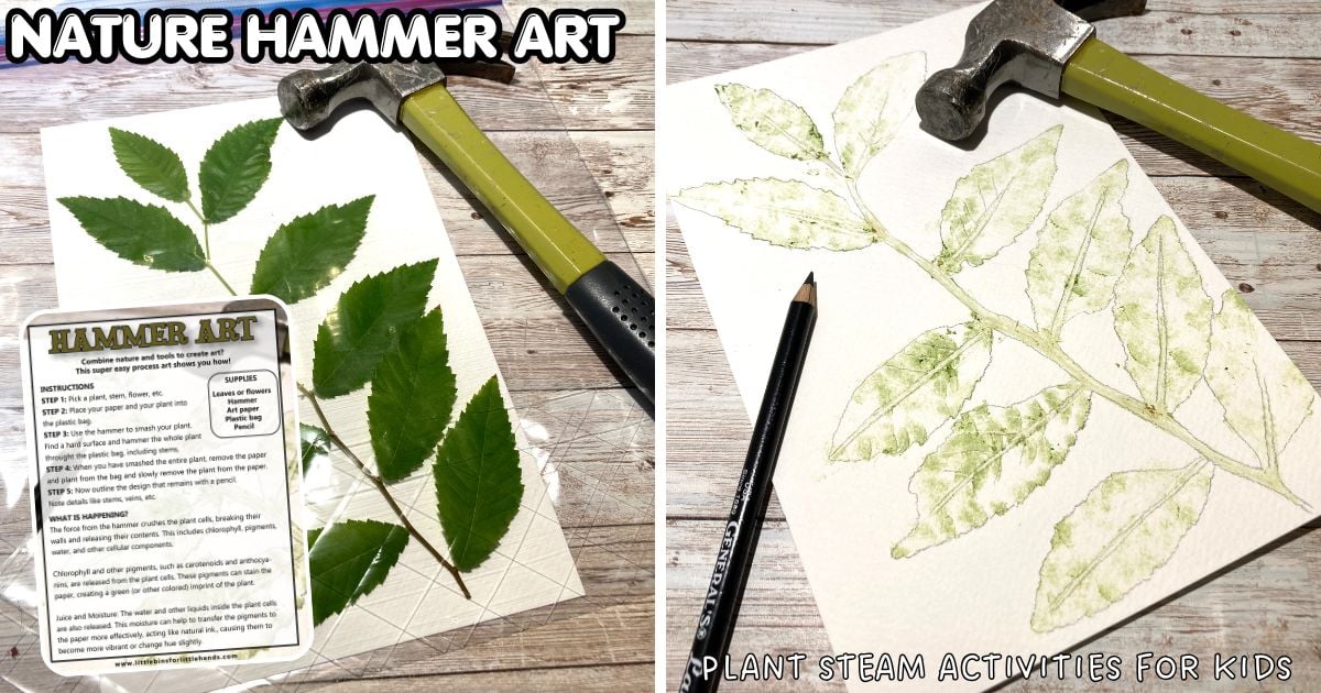 Kid making nature hammer prints with leaves and flowers on paper