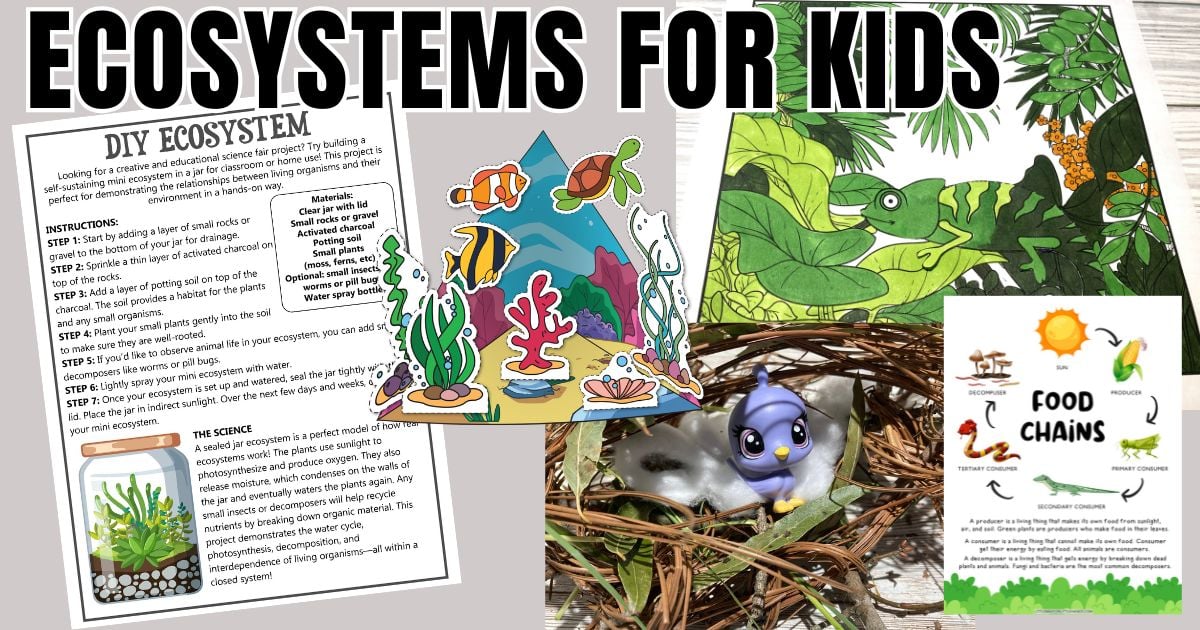 Ecosystems for kids activities with food chains food webs and DIY ecosystem in a jar