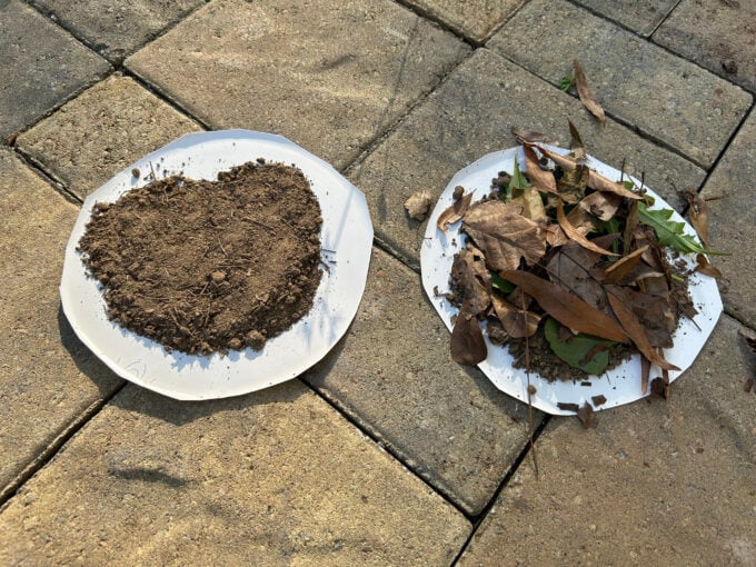 adding plant cover to soil experiment