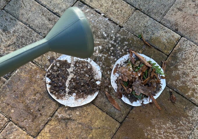 plant cover soil erosion experiment for 2nd grade science