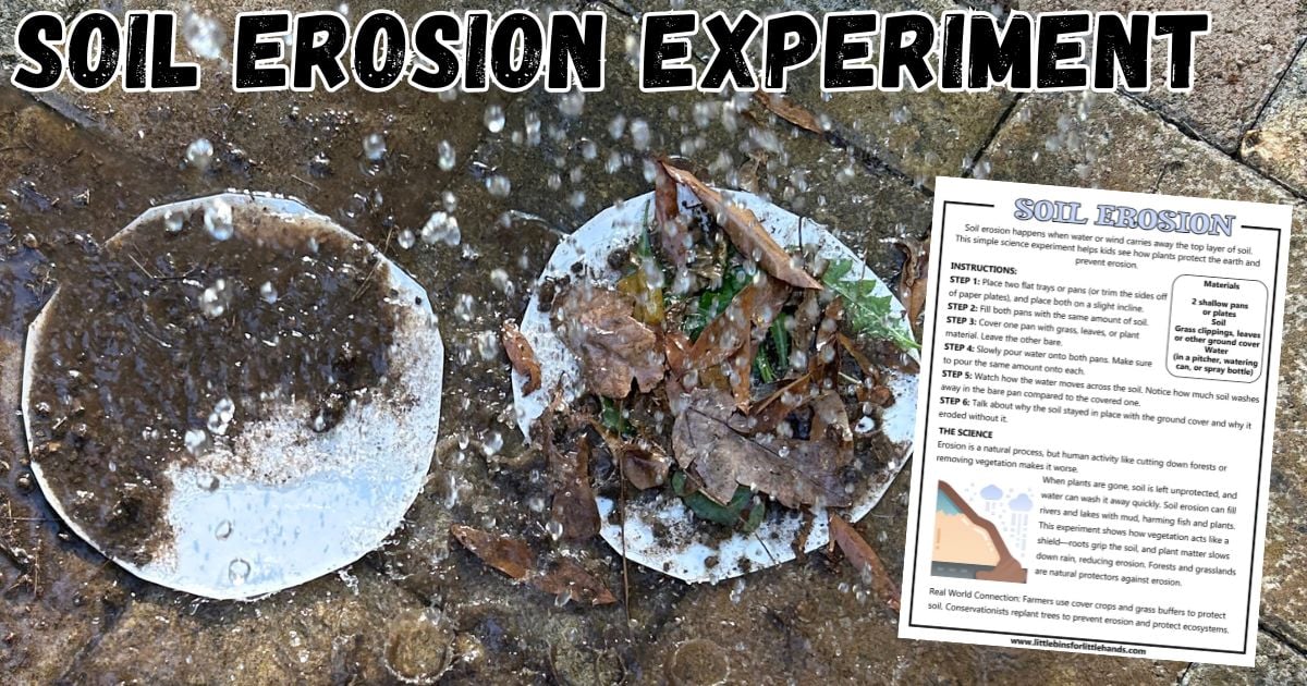 Plant cover and soil erosion experiment comparing bare soil with soil covered by leaves