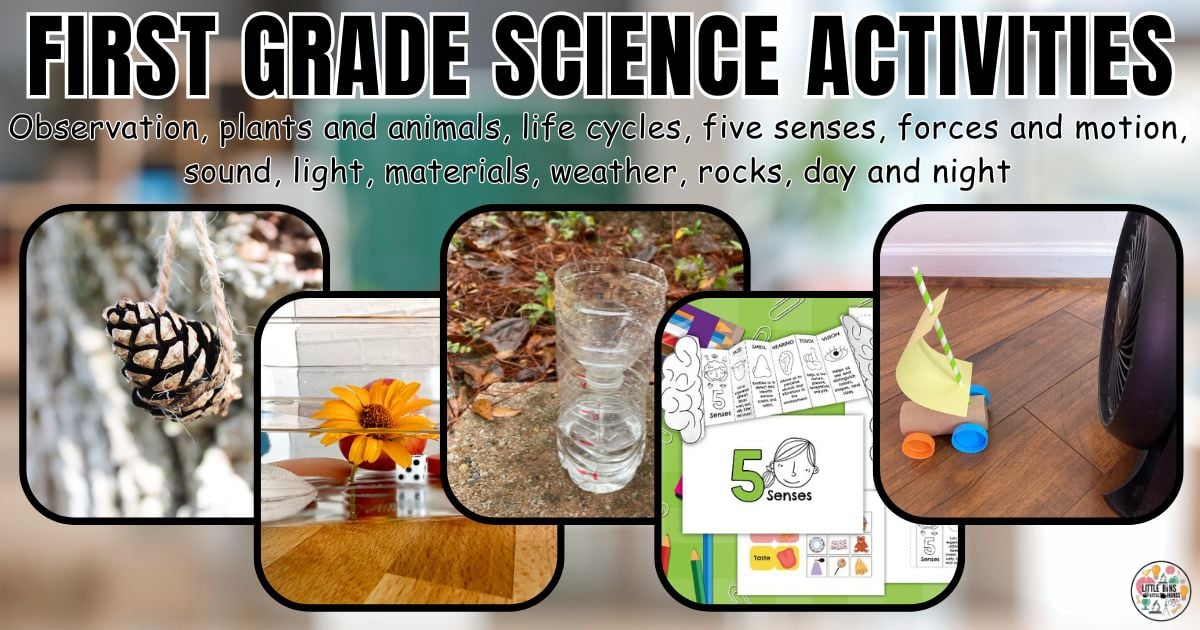 Second grade science activities and experiments for elementary students