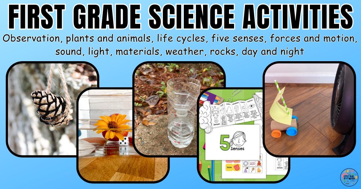first grade science activities for elementary science