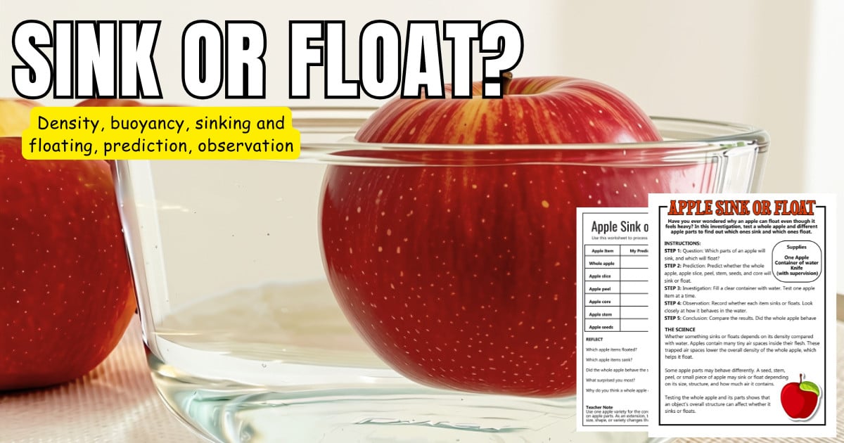 Apple sink or float experiment with a whole apple floating in a bowl of water
