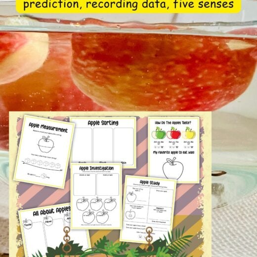 Pinterest Hidden Image