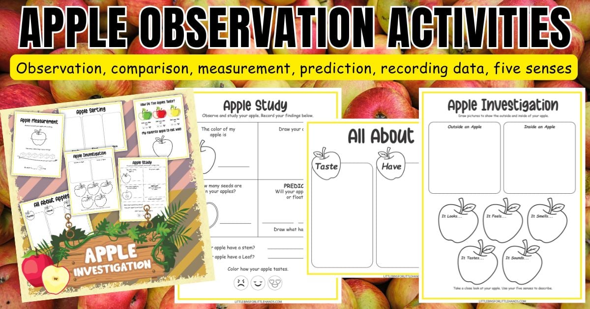Apple observation activity for kids with five senses, measuring, seed counting, and sink or float printable
