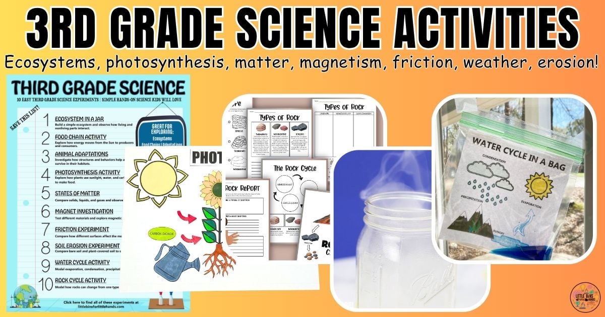 third grade science activities explore ecosystems, photsoynthesis, matter, magnets, erosion, and weather